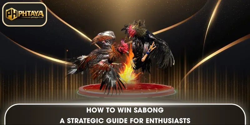 How to Win Sabong: A Strategic Guide for Enthusiasts