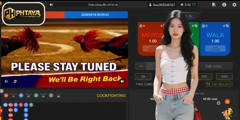 Reliable platforms that offer a Sabong Betting App